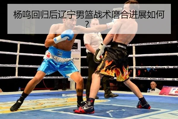 yang-ming-hui-gui-hou-liao-ning-nan-lan-zhan-shu-mo-he-jin-zhan-ru-he-3-899.jpg