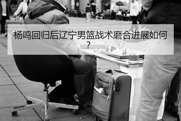 杨鸣回归后辽宁男篮战术磨合进展如何？