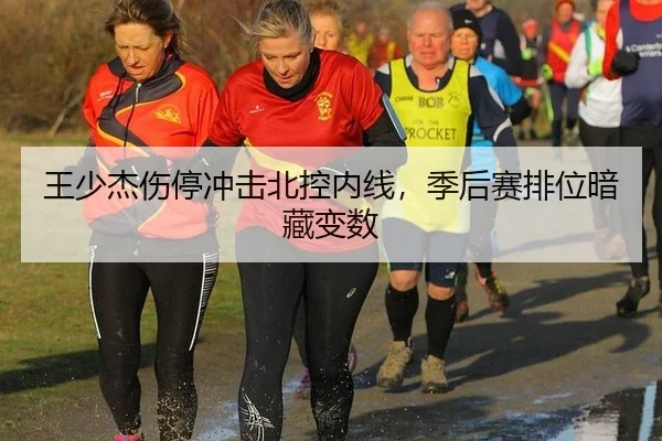 王少杰伤停冲击北控内线，季后赛排位暗藏变数